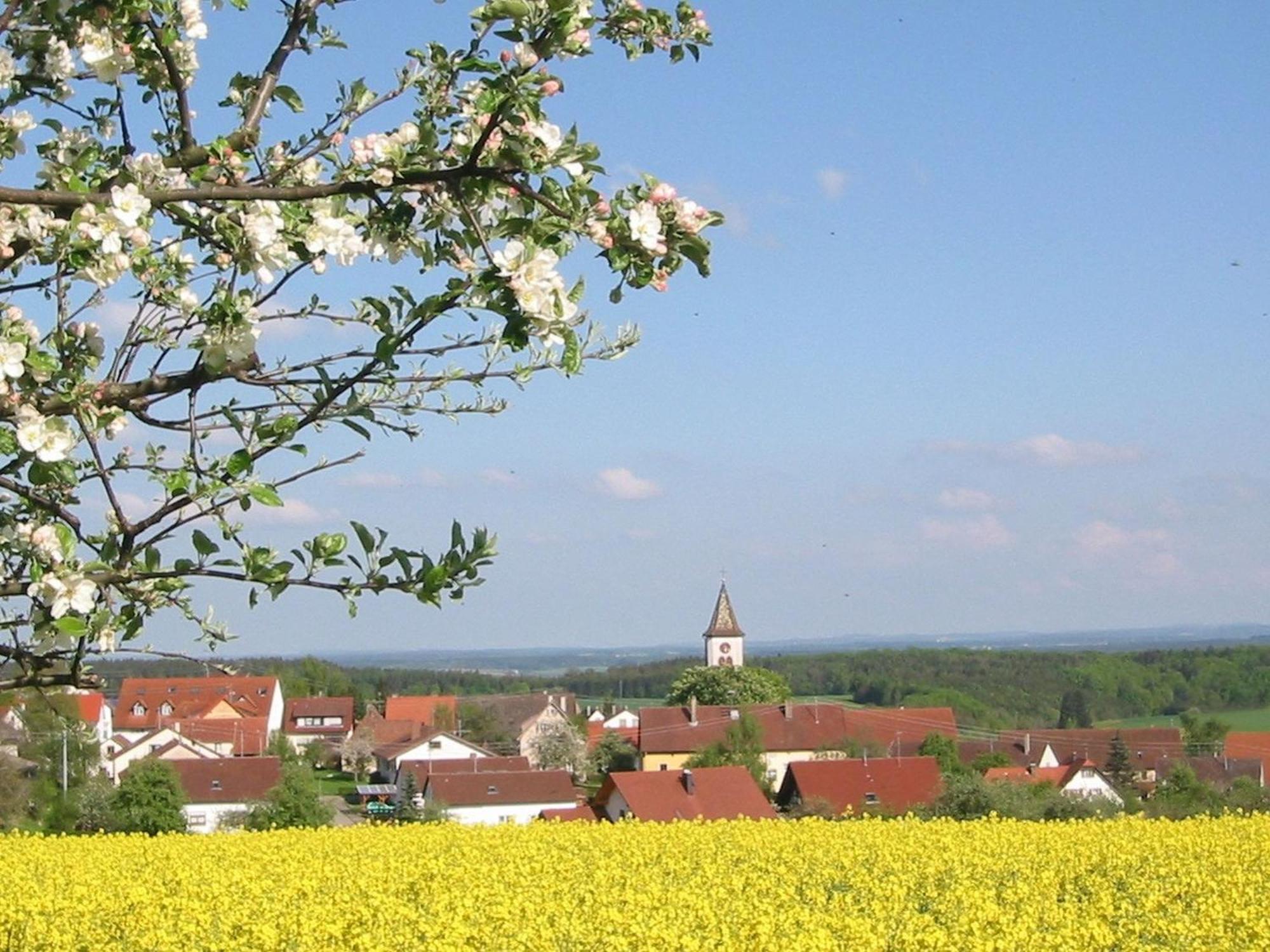 Вилла Kleine Auszeit Thalheim  Экстерьер фото